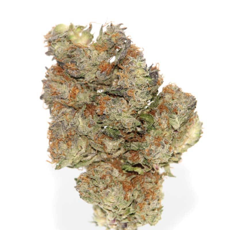 Cannabis MOM | JJ Meds