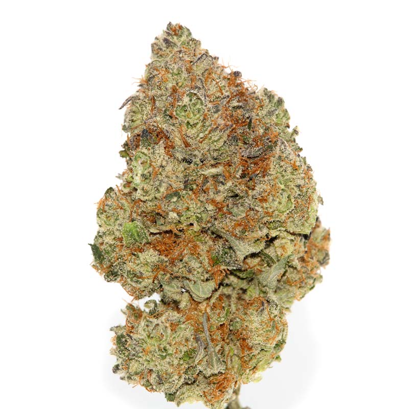 Cannabis MOM | JJ Meds