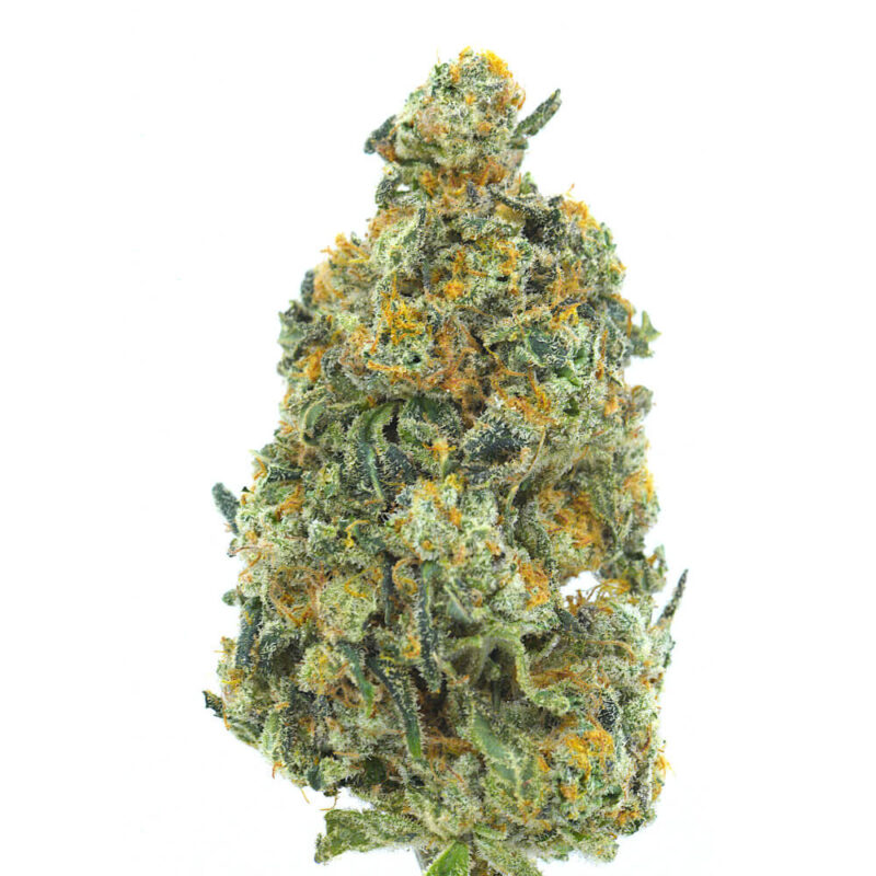 Cannabis MOM | JJ Meds