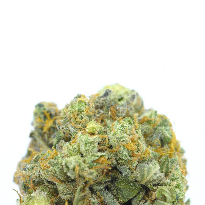 Cannabis MOM | JJ Meds