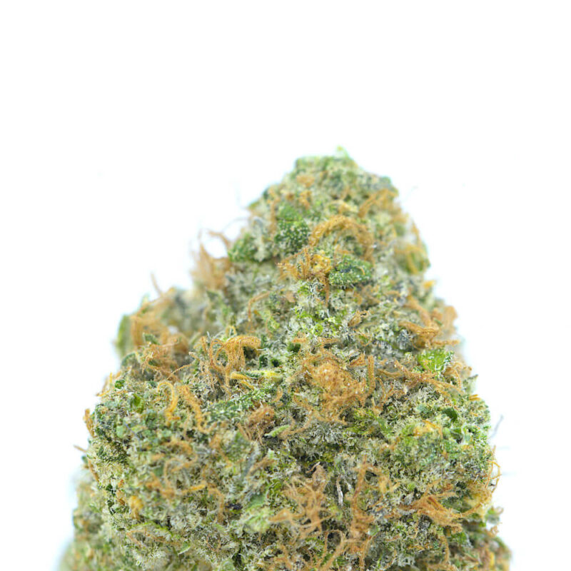 Cannabis MOM | JJ Meds