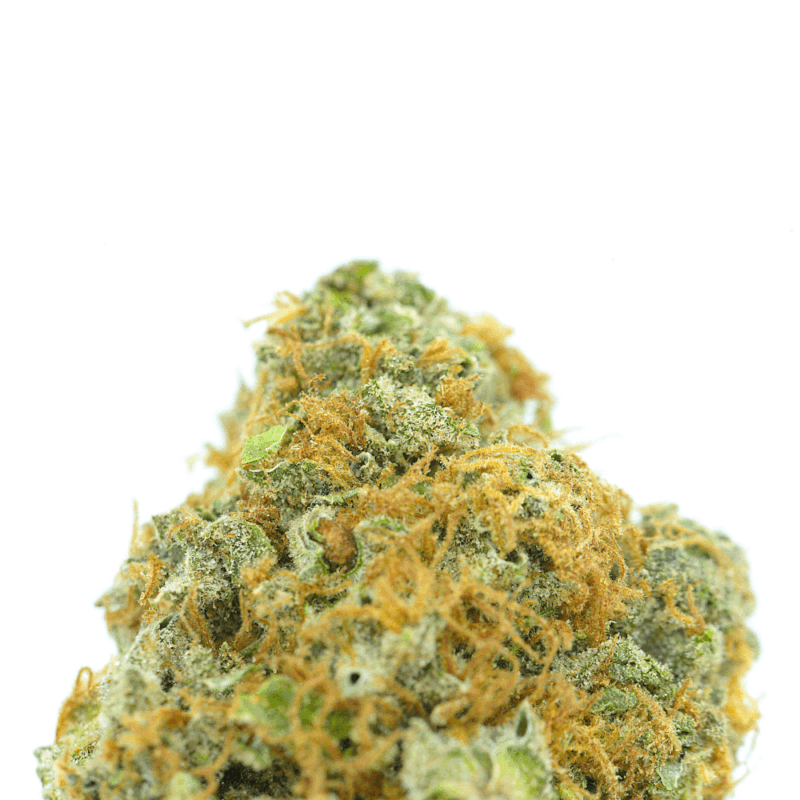 Cannabis MOM | JJ Meds