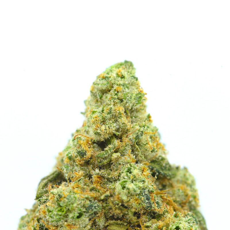 Cannabis MOM | JJ Meds
