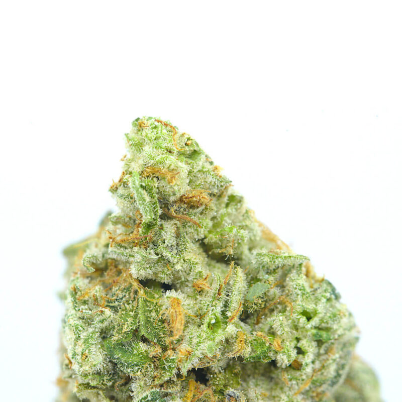 Cannabis MOM | JJ Meds