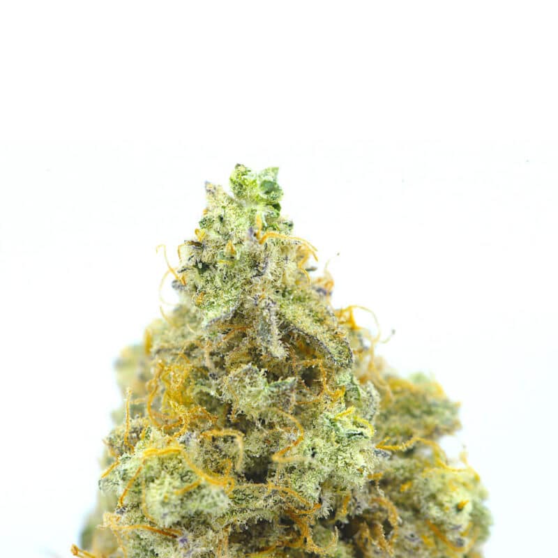 Cannabis MOM | JJ Meds