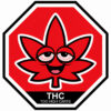 Too High Cartridge 1G *Limited Supply*
