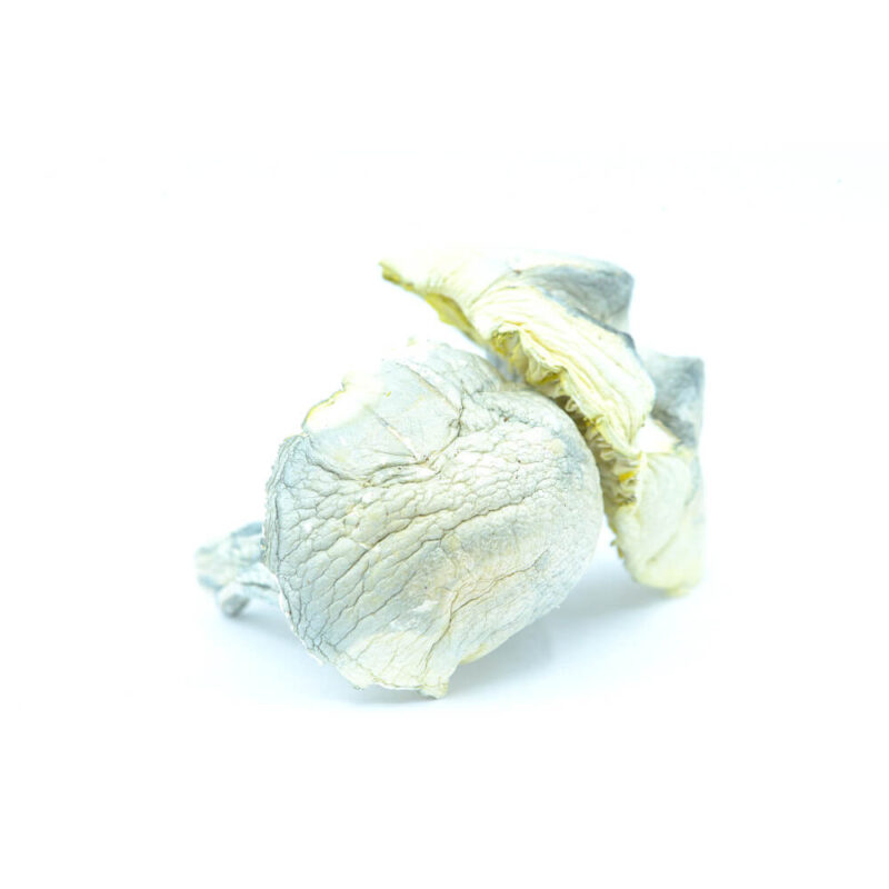 Cannabis MOM | JJ Meds