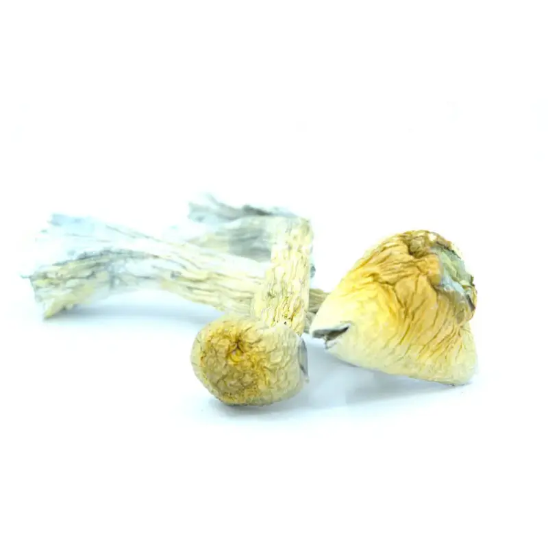 Cannabis MOM | JJ Meds