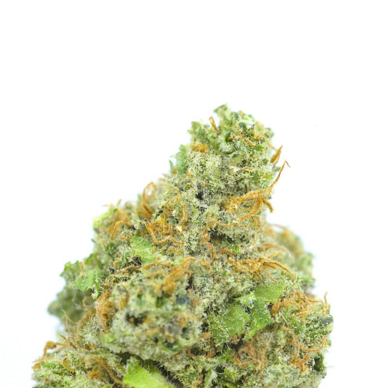 Cannabis MOM | JJ Meds