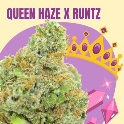 Queen Haze x Runtz