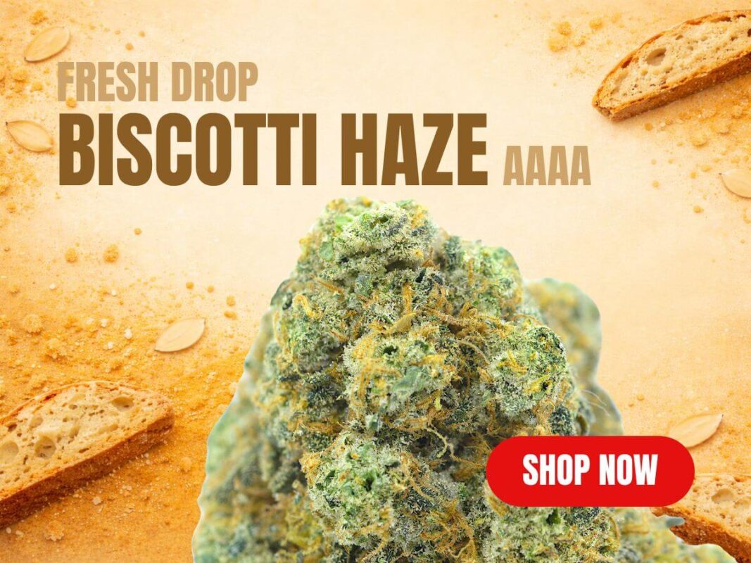 Cannabis MOM | JJ Meds