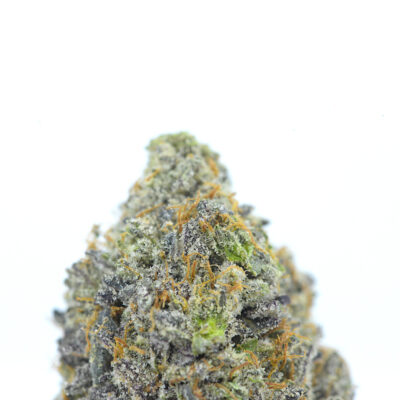 Alternative view of 11 Weeks MMJ: Comatose OG AAAA-