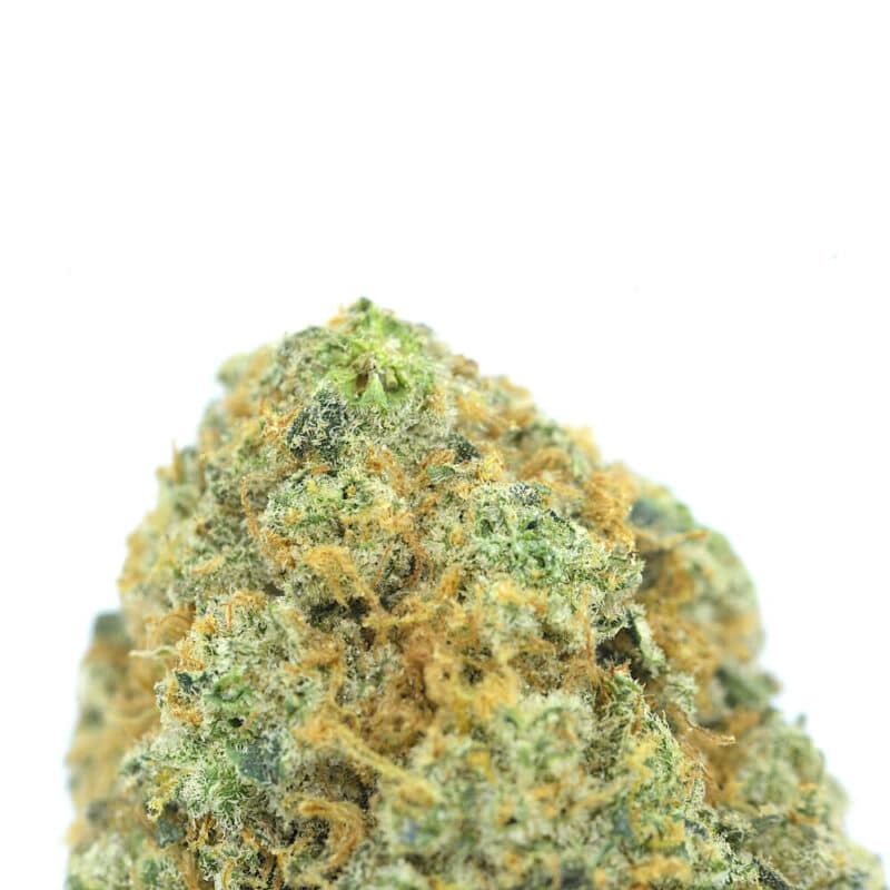 Cannabis MOM | JJ Meds