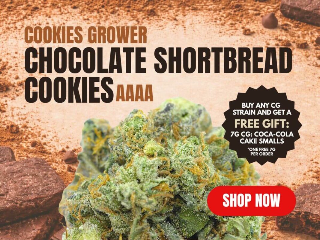 Cannabis MOM | JJ Meds