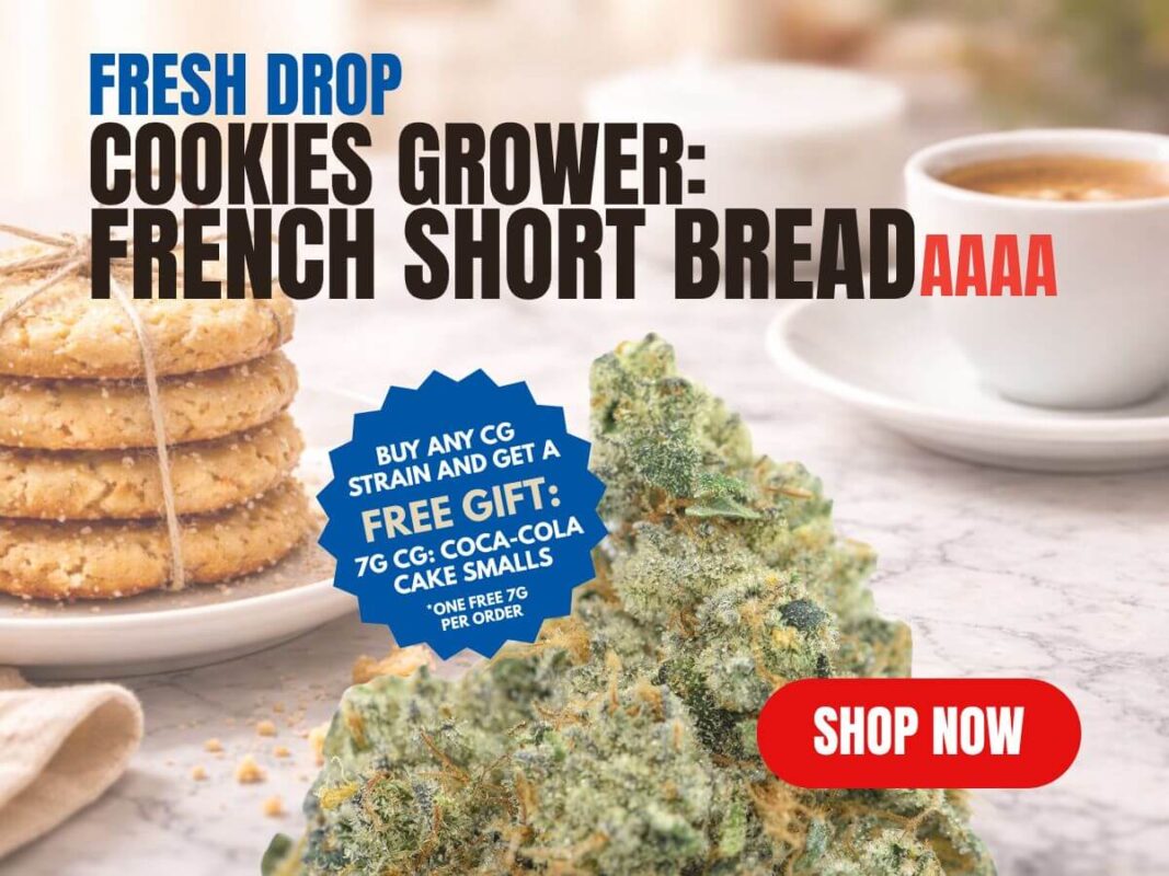 Cannabis MOM | JJ Meds