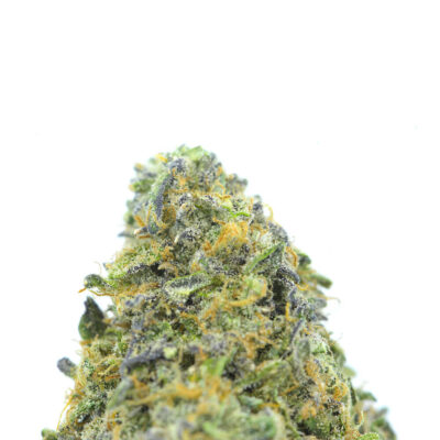 Alternative view of Wedding Cake x Citrus Skunk