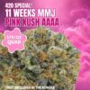 11 Weeks MMJ: Pink Kush AAAA *$79/oz QUAD*