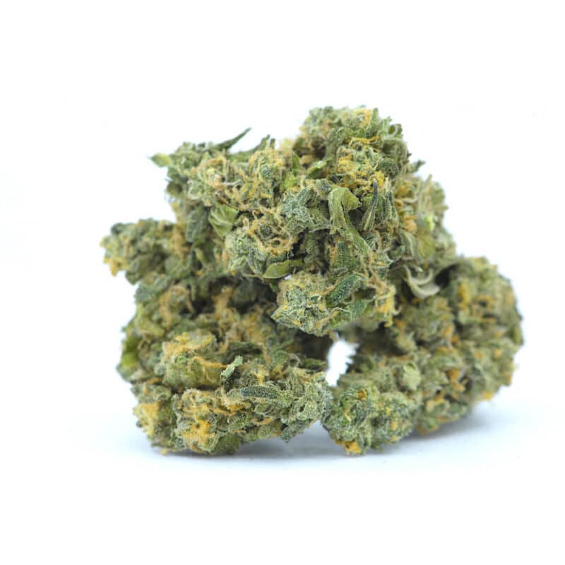 Cannabis MOM | JJ Meds
