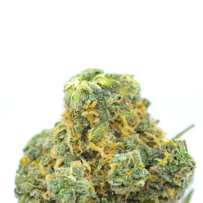 Cannabis MOM | JJ Meds