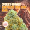 Cookies Grower: Chocolate Lava Cake AAAA *Restock*