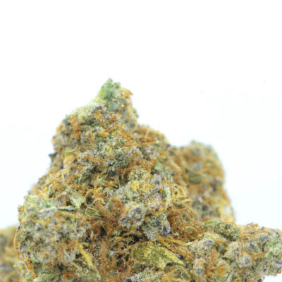 Cookies Grower: Chocolate Lava Cake AAAA