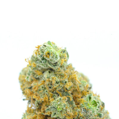 Alternative view of Cookies Grower: Chocolate Lava Cake AAAA *Restock*