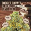 Cookies Grower: Chocolate Vanilla Lover AAAA