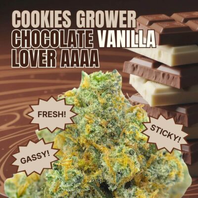 Cookies Grower: Chocolate Vanilla Lover AAAA