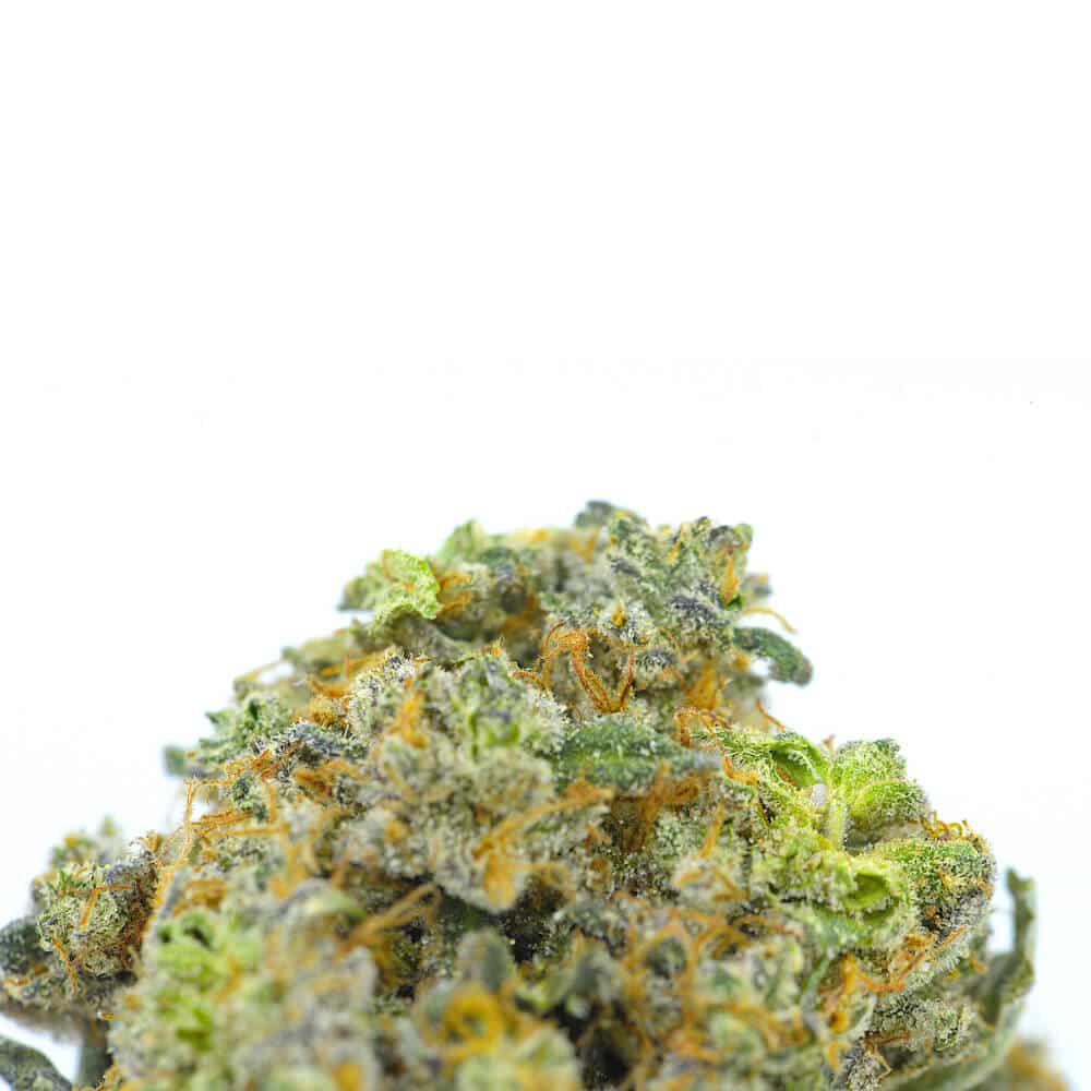 Cookies Grower: Chocolate Vanilla Lover AAAA - Image 2
