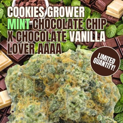 Cookies Grower: Mint Chocolate Chip x Chocolate Vanilla Lover AAAA
