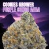 Cookies Grower: Purple Congo AAAA