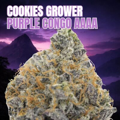 Cookies Grower: Purple Congo AAAA