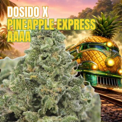 Dosido x Pineapple Express