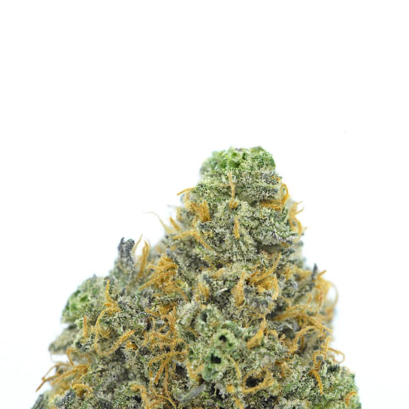 Cannabis MOM | JJ Meds