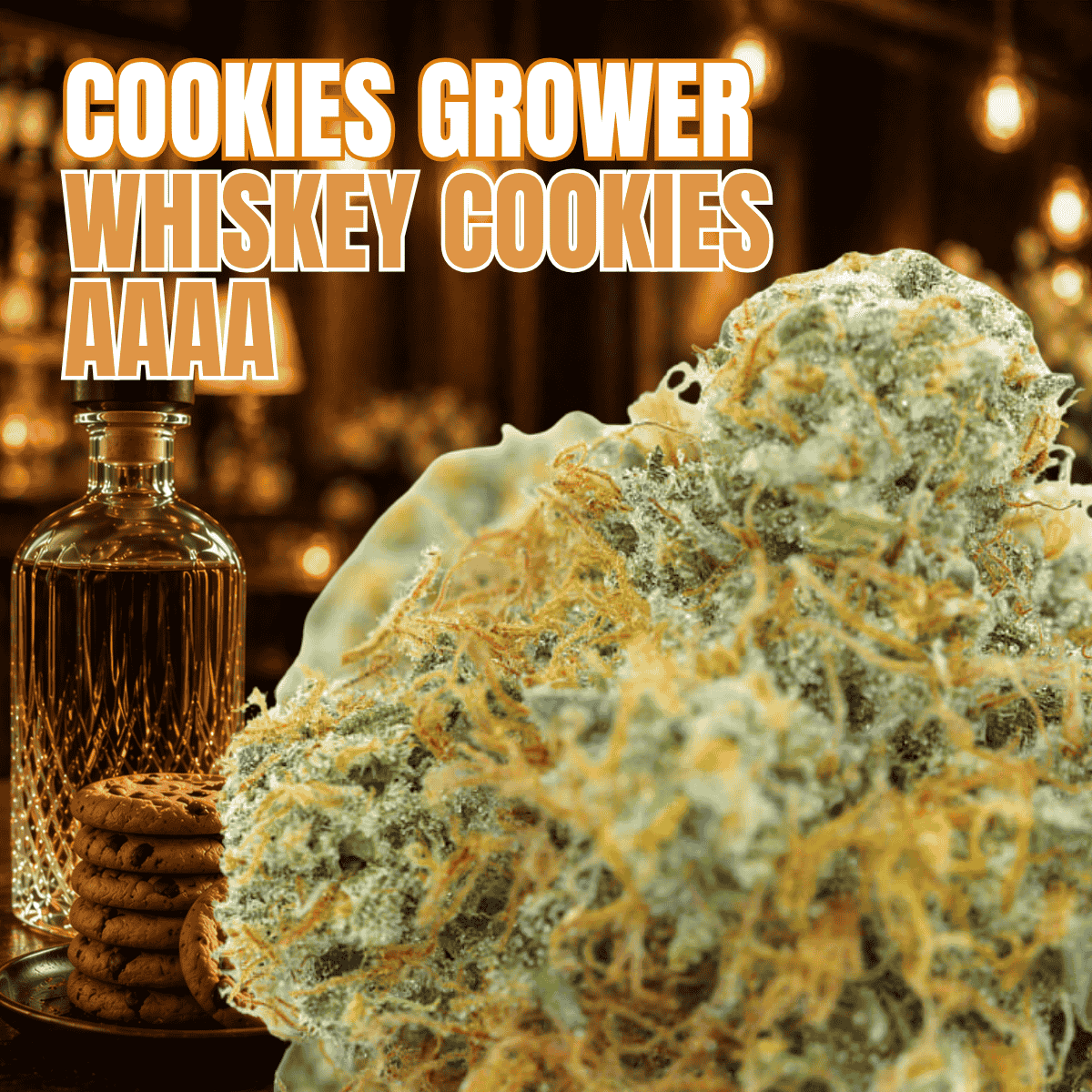 Photographie source: Whiskey Cookies AAAA