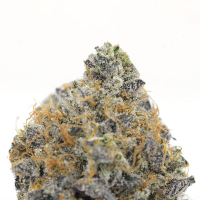 Alternative view of Cookies Grower: Purple Congo AAAA
