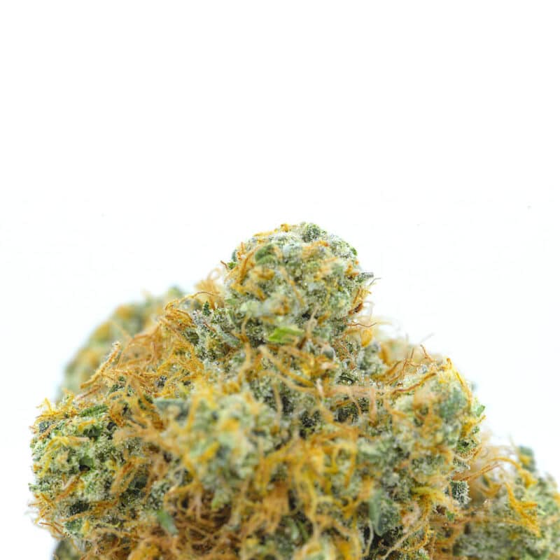 Cannabis MOM | JJ Meds