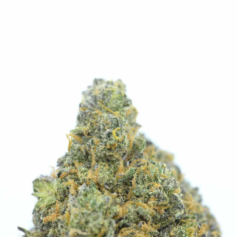 Cannabis MOM | JJ Meds