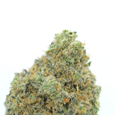Cookies Grower: Chocolate Chip Cookies AAAA