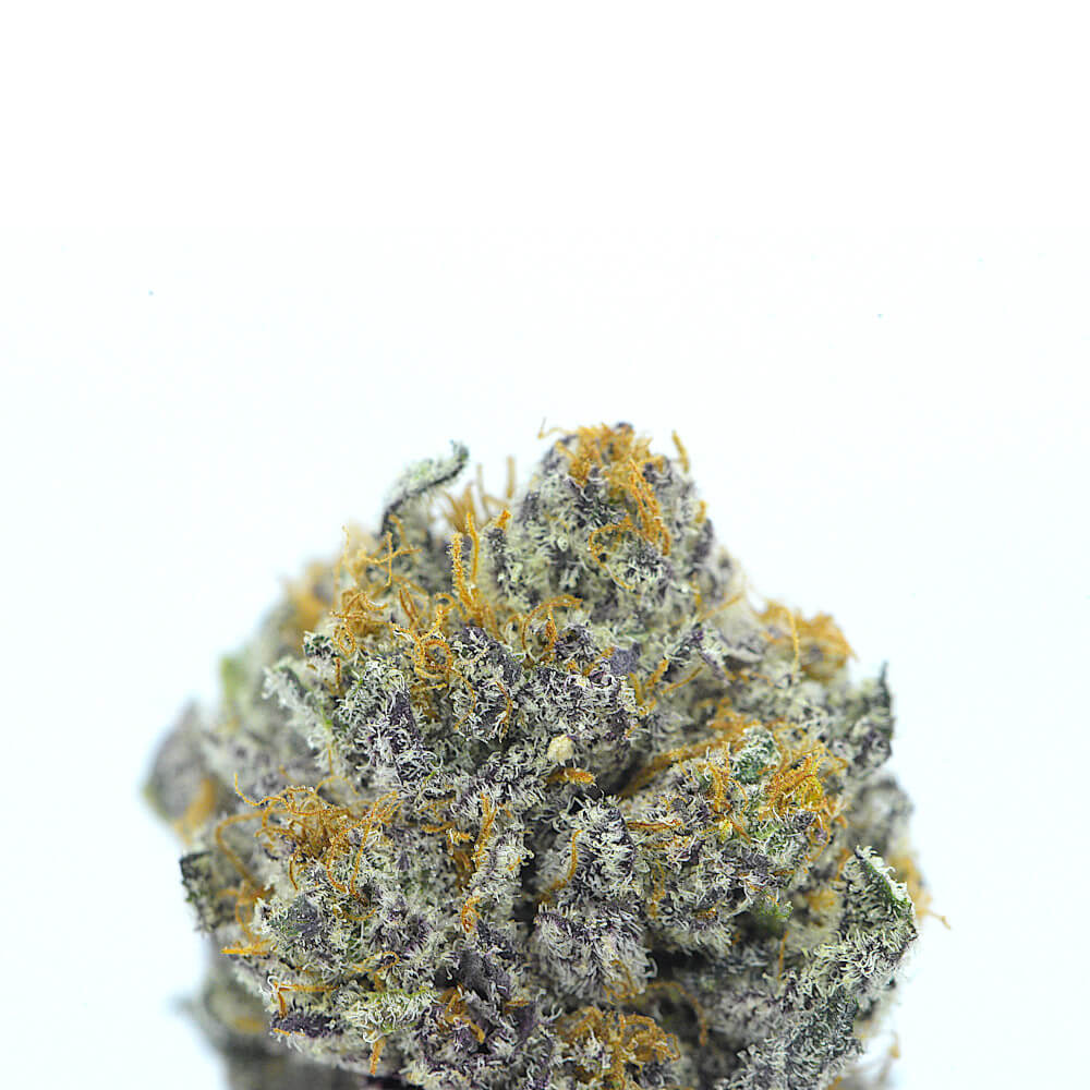 Dosidos x Slurricane = Dosi Cane