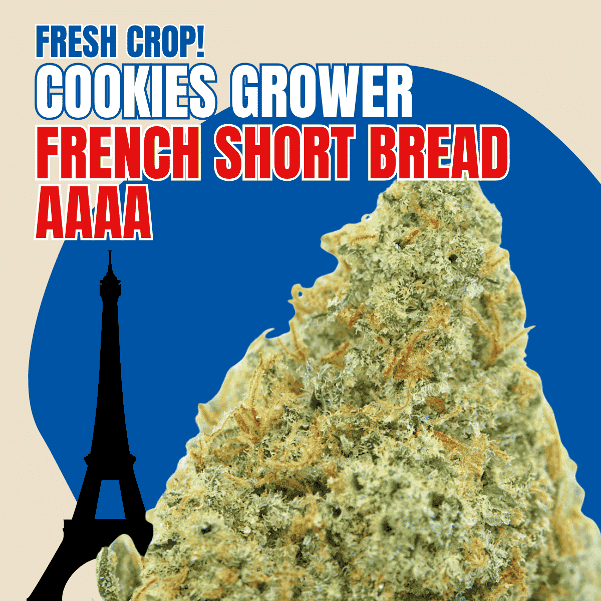Photographie source: French Short Bread AAAA