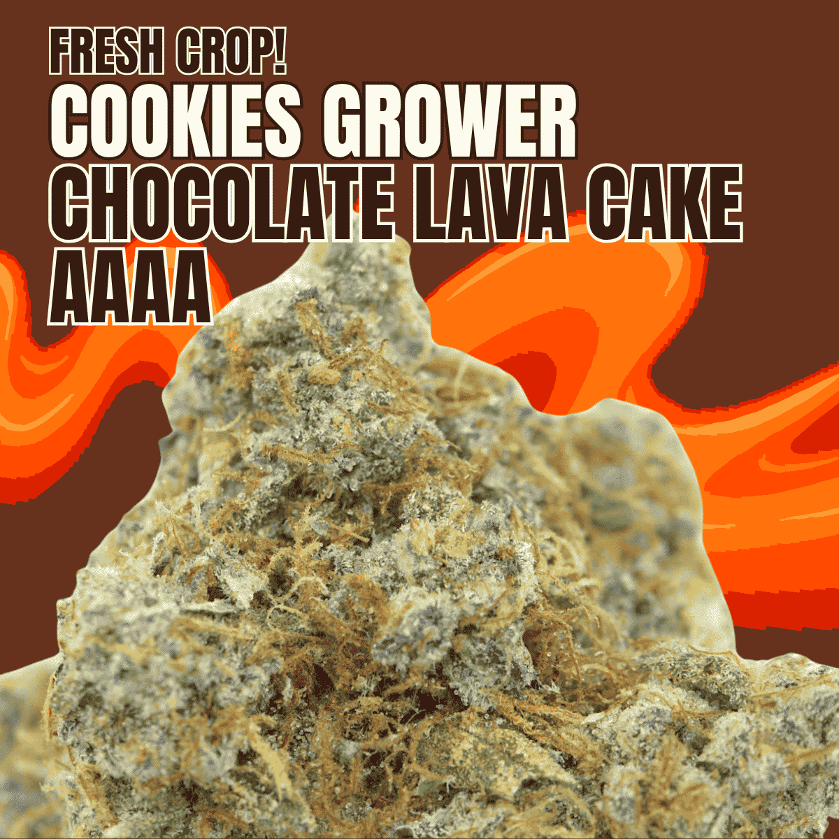 Photographie source: Chocolate Lava Cake AAAA