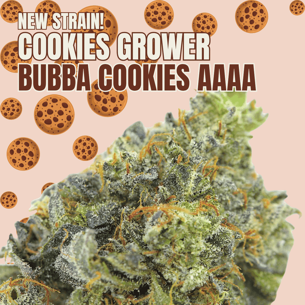 Photographie source: Bubba Cookies AAAA