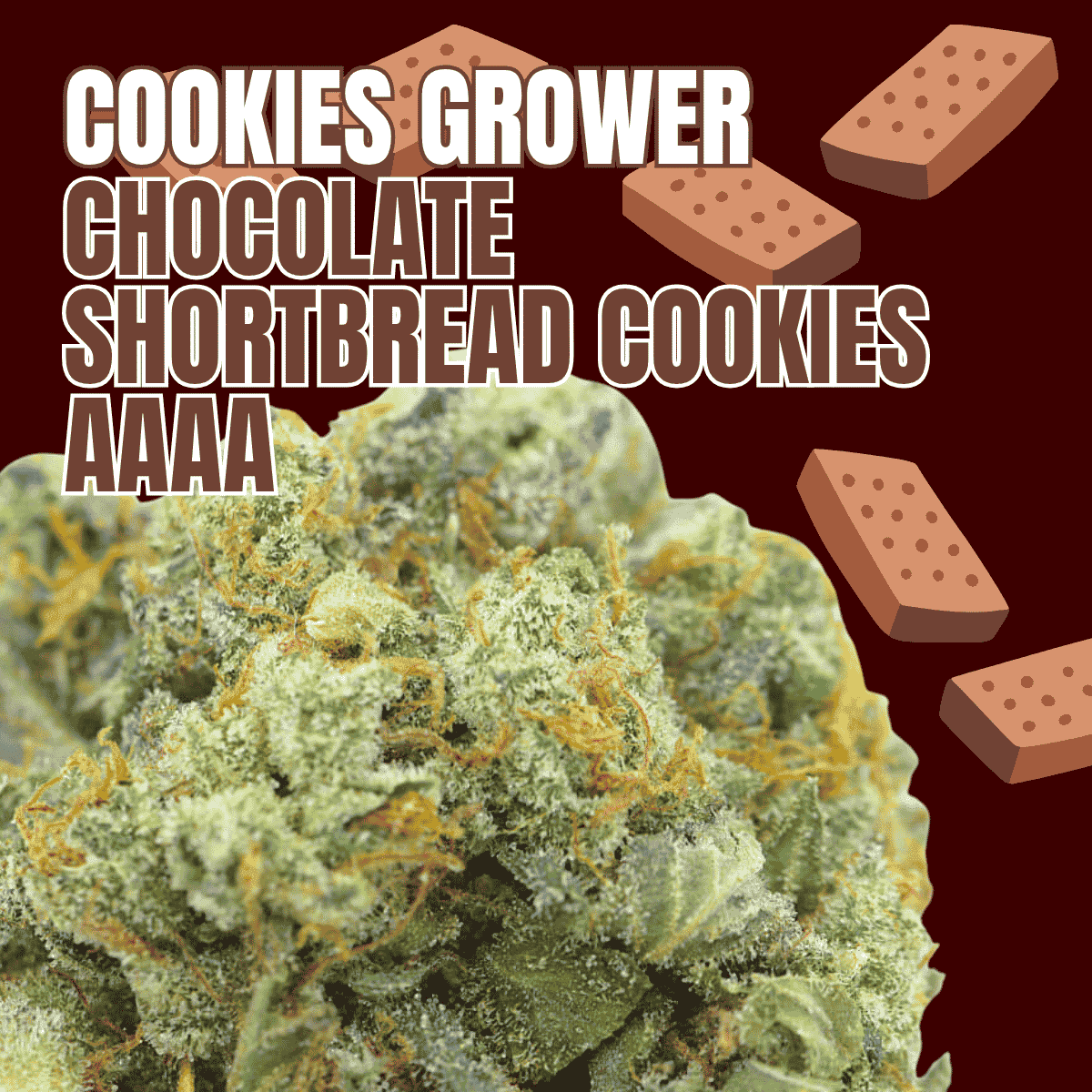 Photographie source: Chocolate Shortbread Cookies AAAA