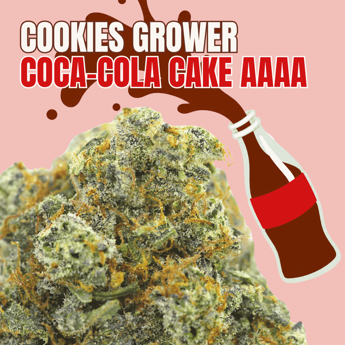Photographie source: Coca-Cola Cake AAAA