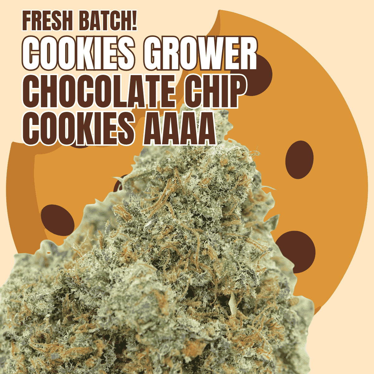 Photographie source: Chocolate Chip Cookies AAAA