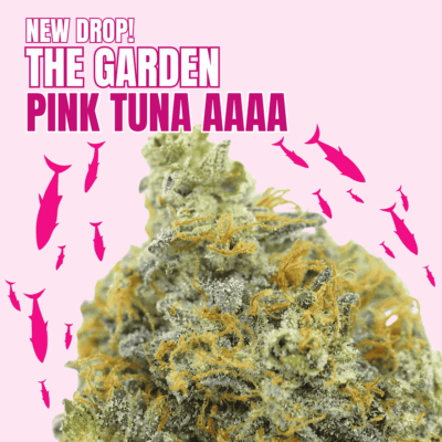 The Garden: Pink Tuna AAAA