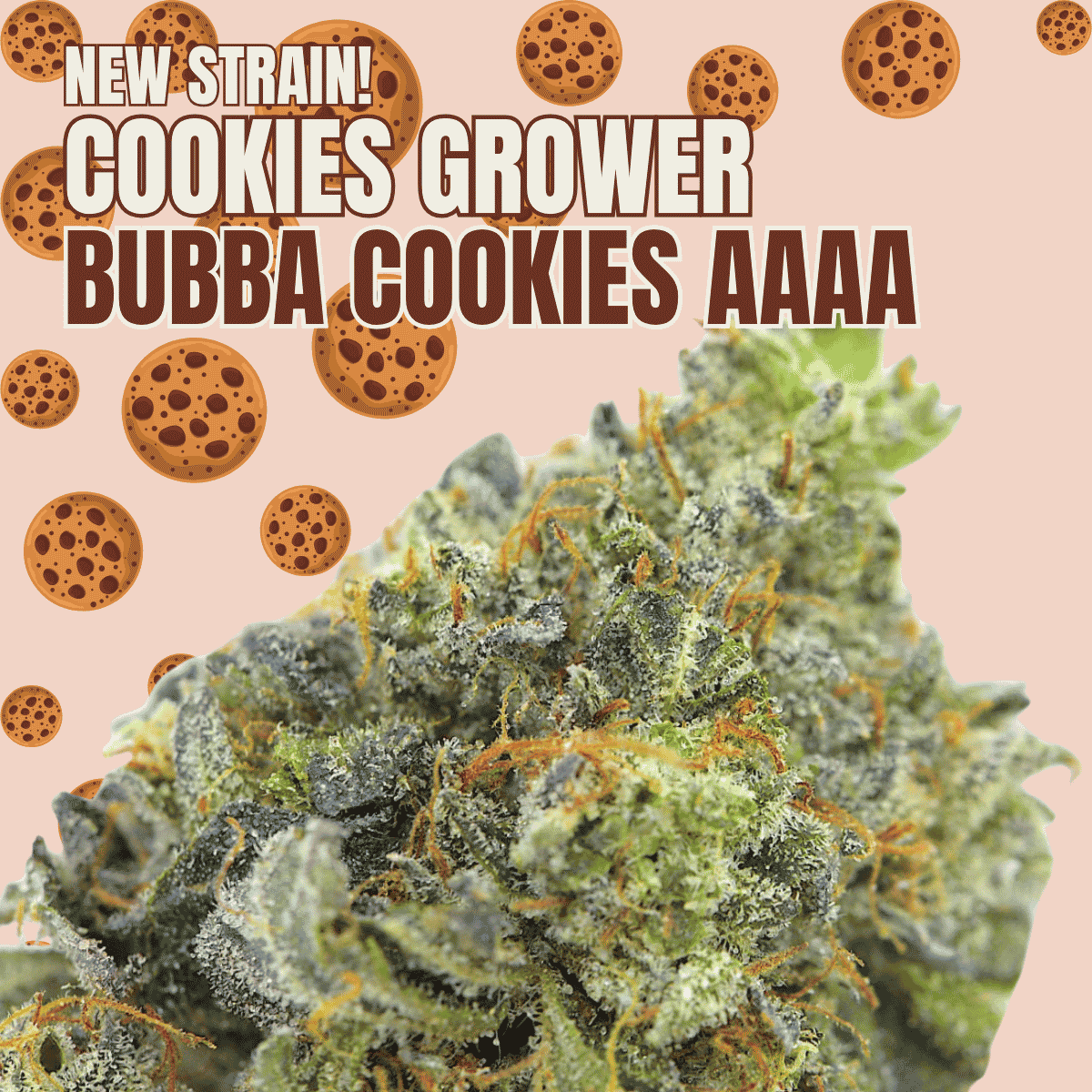Cookies Grower: Bubba Cookies AAAA