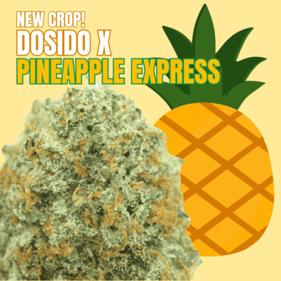 Dosido x Pineapple Express
