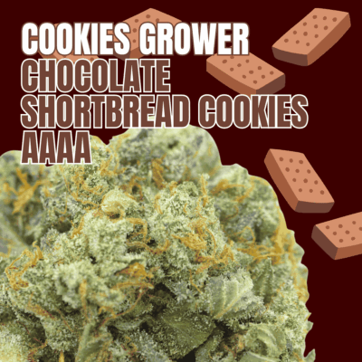 Cookies Grower: Chocolate Shortbread Cookies AAAA